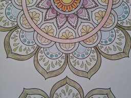 whatsapp image 2026-01-20 at 11.50.44